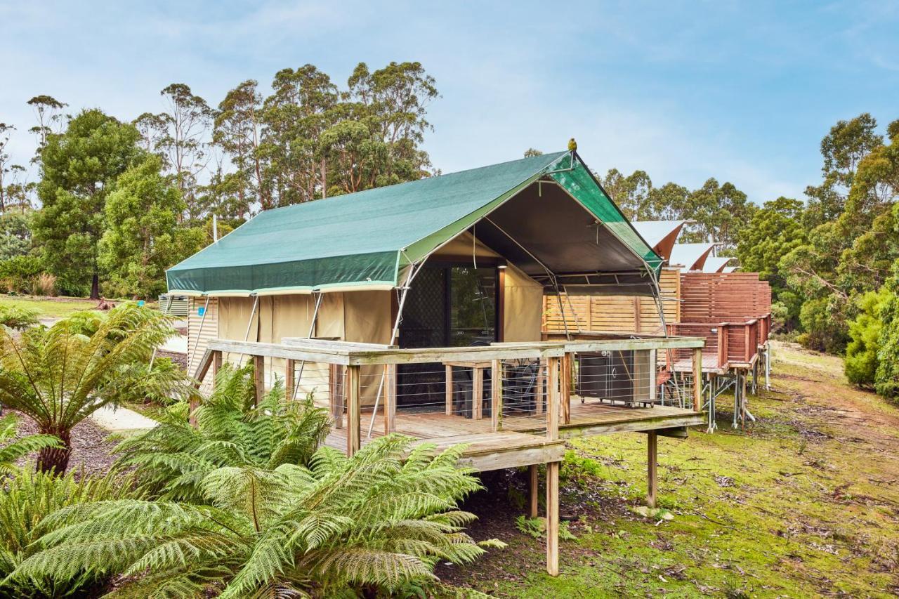 Nrma Port Arthur Holiday Park エクステリア 写真