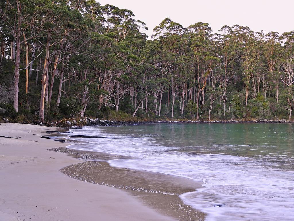 Nrma Port Arthur Holiday Park エクステリア 写真