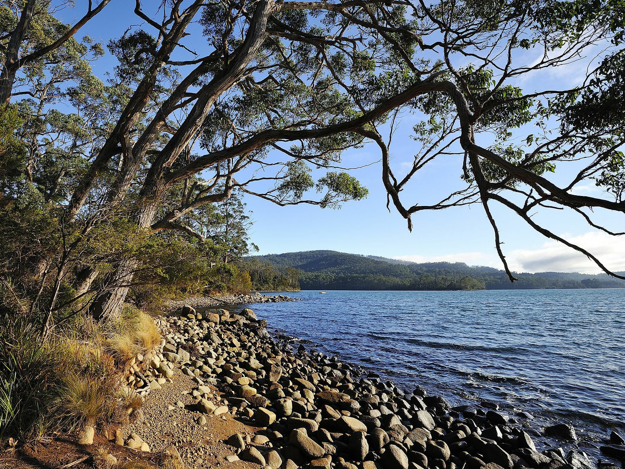 Nrma Port Arthur Holiday Park エクステリア 写真